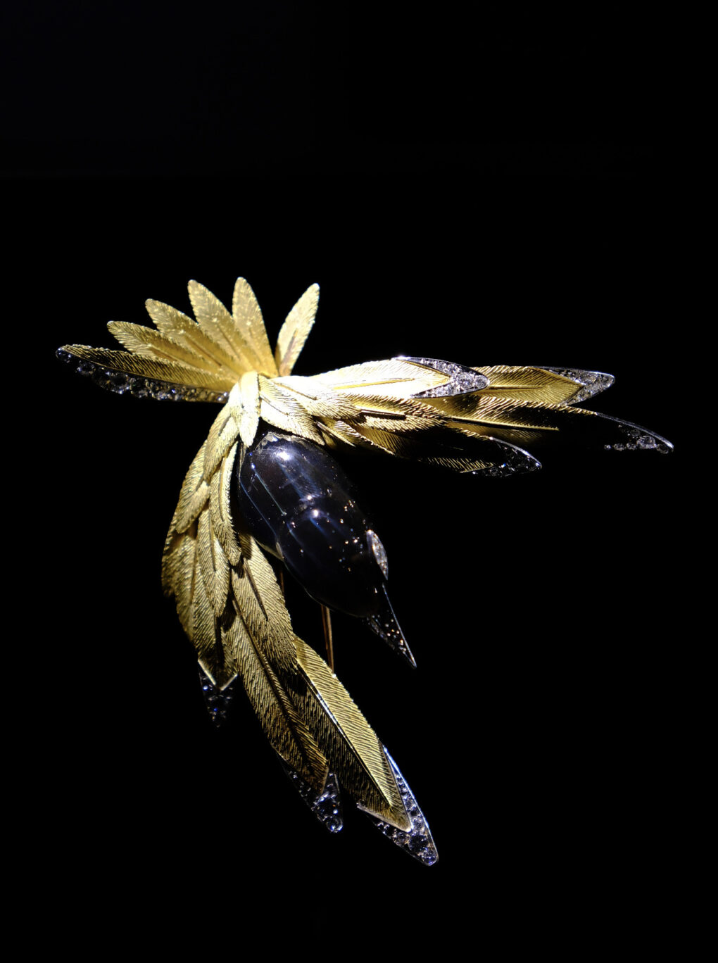 インターメディアテク　極楽鳥　ピエール・ステルレ　鳥のブローチ